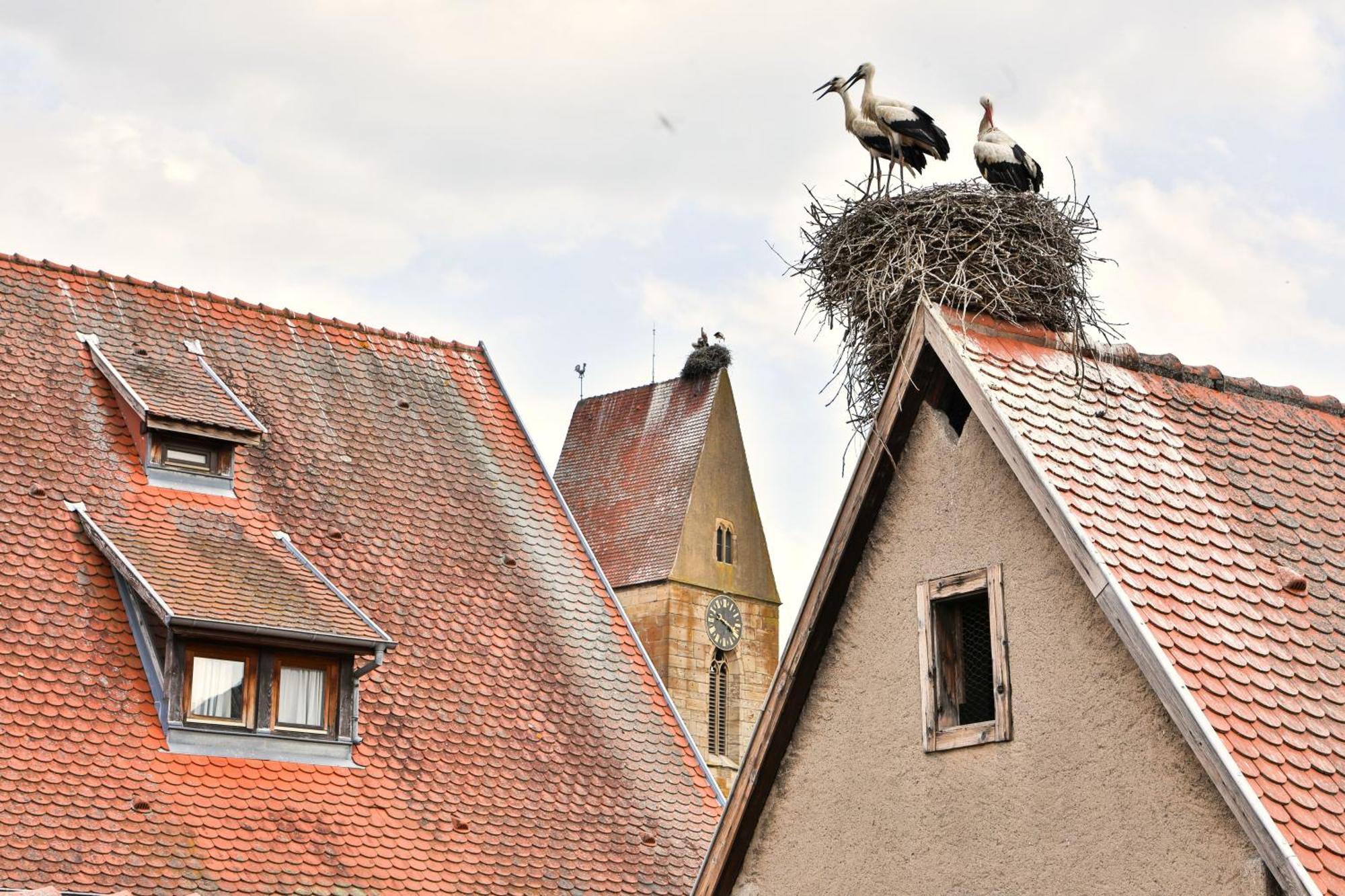 Ferienwohnung La Legende Des 2 Pierres Eguisheim Exterior foto