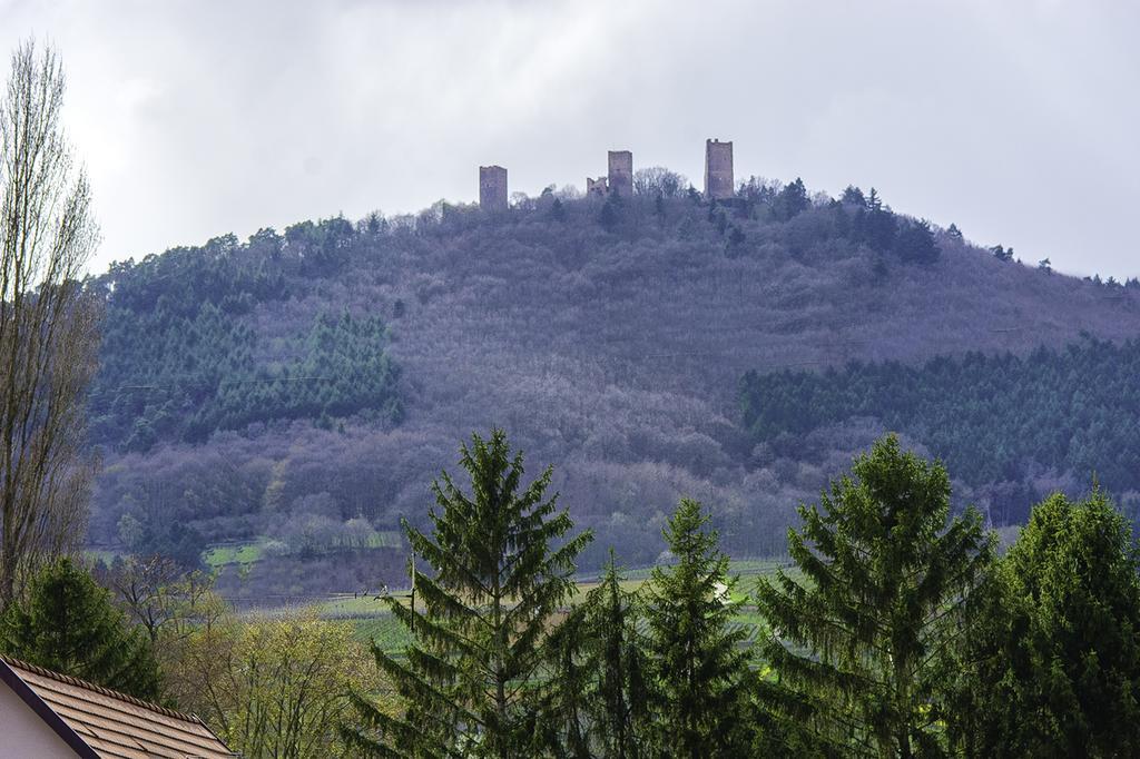 Ferienwohnung La Legende Des 2 Pierres Eguisheim Exterior foto