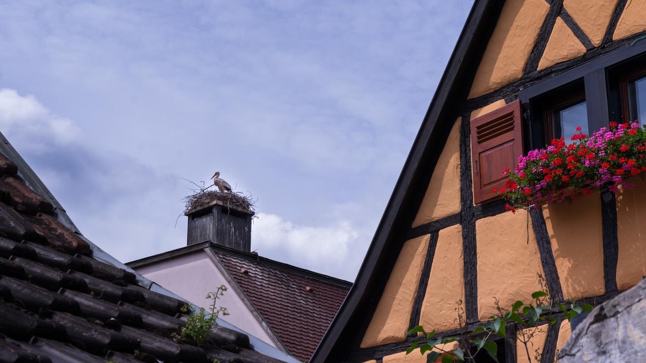 Ferienwohnung La Legende Des 2 Pierres Eguisheim Exterior foto